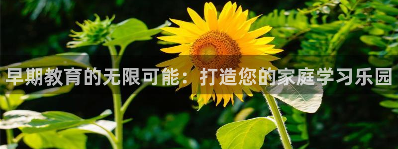 天狮娱乐彩票注册：早期教育的无限可能：打造您的家庭学习乐园