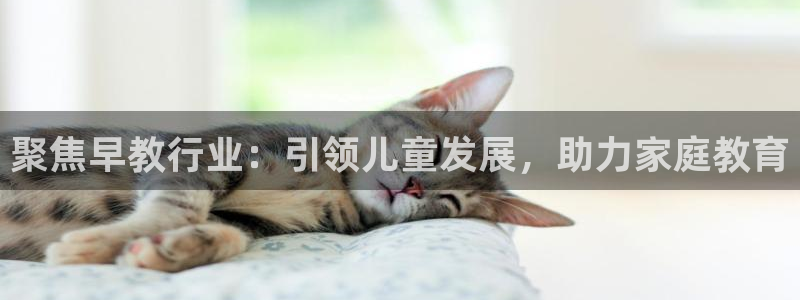 天狮娱乐 股31661东r：聚焦早教行业：引领儿童发展，助力家庭教育