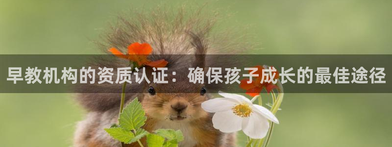 天狮娱乐道：早教机构的资质认证：确保孩子成长的最佳途径