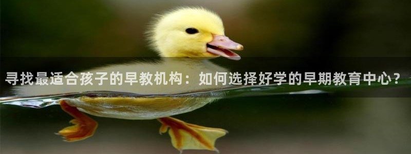 天狮娱乐i股t东64681：寻找最适合孩子的早教机构：如何选择好学的早期教育中心