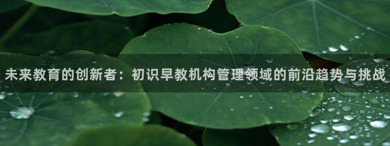 天狮会娱乐KTV会所怎么样：未来教育的创新者：初识早教机构管理领域的前沿趋势与挑
