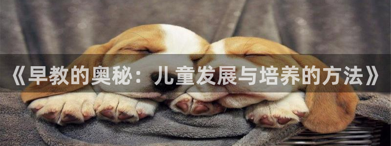 龙湖狮山天街苏州娱乐：《早教的奥秘：儿童发展与培养的方法》
