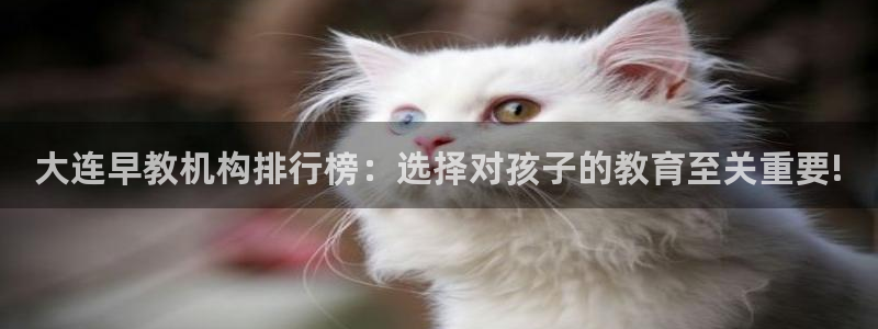 天豪娱乐会所狮山：大连早教机构排行榜：选择对孩子的教育至关重要!