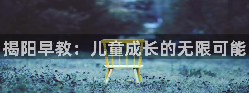 天狮娱乐q 去108-306：揭阳早教：儿童成长的无限可能