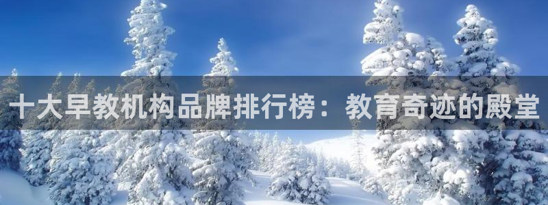 天狮娱乐app是哪的：十大早教机构品牌排行榜：教育奇迹的殿堂