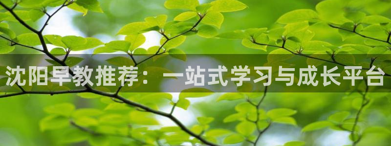 天狮娱乐最高待遇：沈阳早教推荐：一站式学习与成长平台