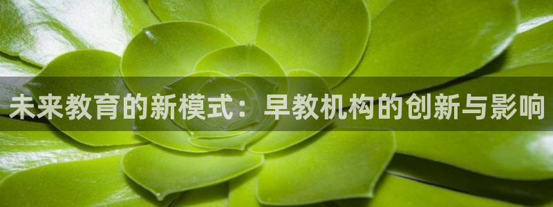 天狮娱乐主管：未来教育的新模式：早教机构的创新与影响