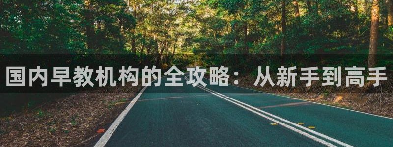天狮娱乐是什么：国内早教机构的全攻略：从新手到高手