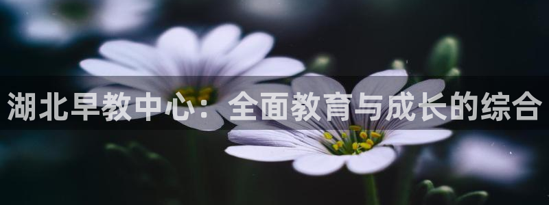 天狮娱乐 amp c主管20476：湖北早教中心：全面教育与成长的综合