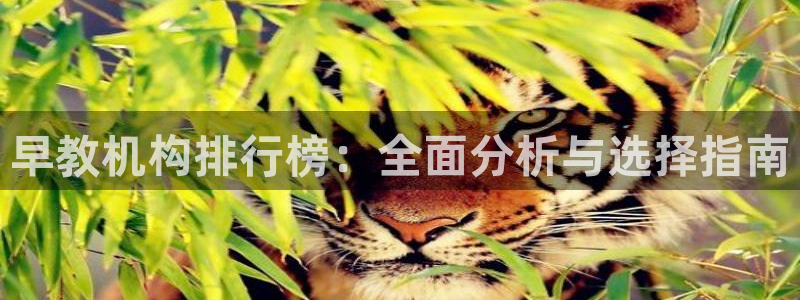 天狮娱乐平台：早教机构排行榜：全面分析与选择指南