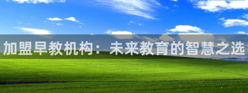 天狮娱乐注册开户：加盟早教机构：未来教育的智慧之选