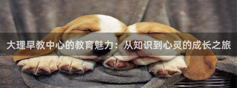 天狮娱乐下载：大理早教中心的教育魅力：从知识到心灵的成长之旅