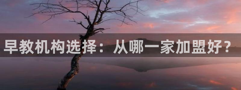 天狮娱乐 a主57661管：早教机构选择：从哪一家加盟好？