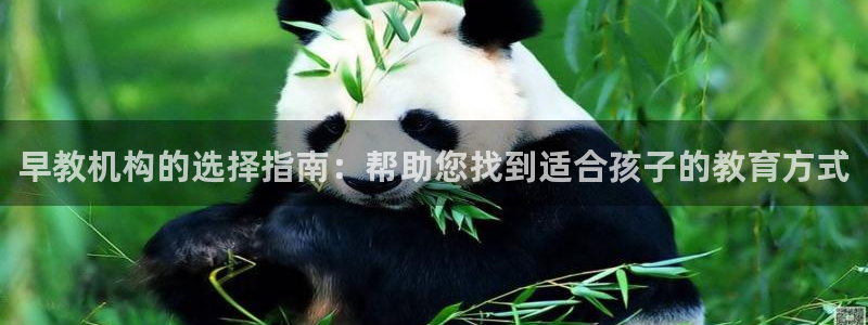 天狮娱乐反点啥意思：早教机构的选择指南：帮助您找到适合孩子的教育方式