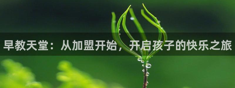 天狮娱乐官方代理：早教天堂：从加盟开始，开启孩子的快乐之旅