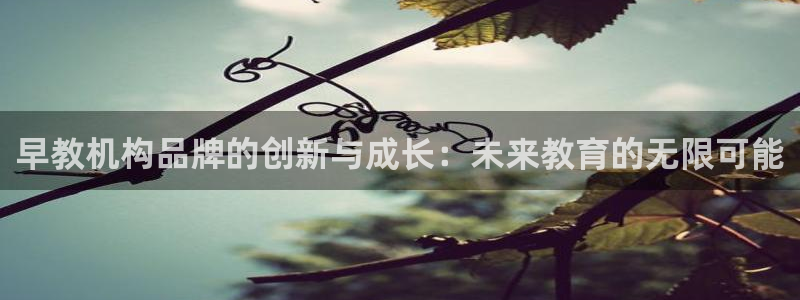 天狮娱乐负责：早教机构品牌的创新与成长：未来教育的无限可能