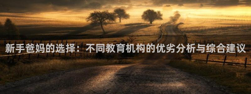 天狮娱乐会所怎么样：新手爸妈的选择：不同教育机构的优劣分析与综合建议