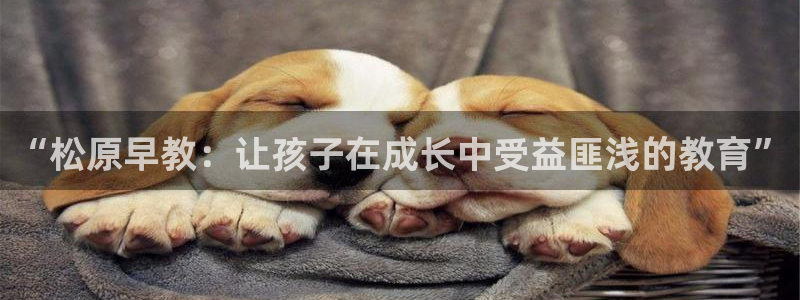 天狮娱乐登录官网平台：“松原早教：让孩子在成长中受益匪浅的教育”