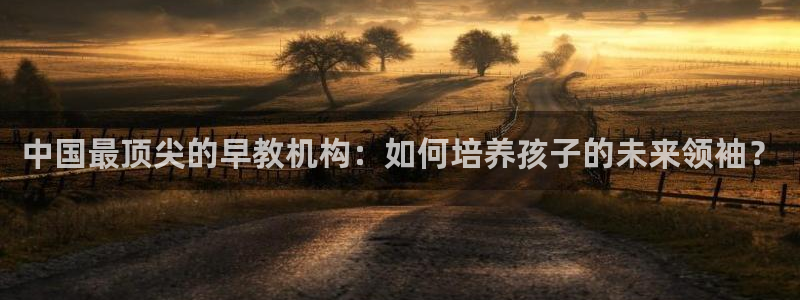 天狮娱乐会所怎么样：中国最顶尖的早教机构：如何培养孩子的未来领袖？