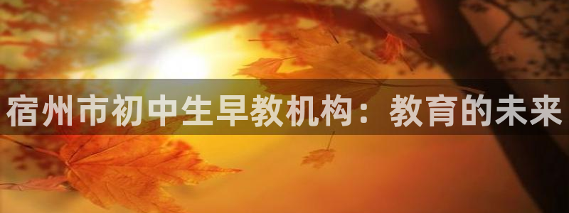 天狮娱乐用户名怎么起：宿州市初中生早教机构：教育的未来