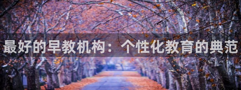 天狮娱乐官网：最好的早教机构：个性化教育的典范