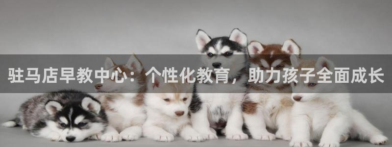 天狮娱乐1990注册：驻马店早教中心：个性化教育，助力孩子全面成长