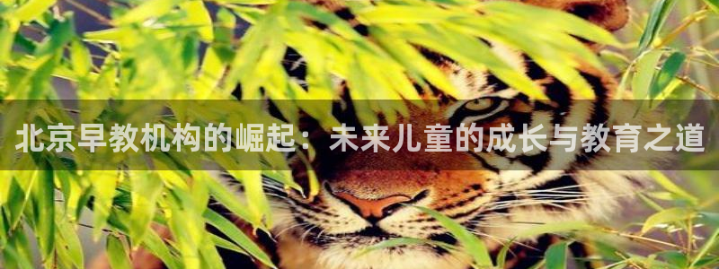 天狮娱乐平台作弊：北京早教机构的崛起：未来儿童的成长与教育之道
