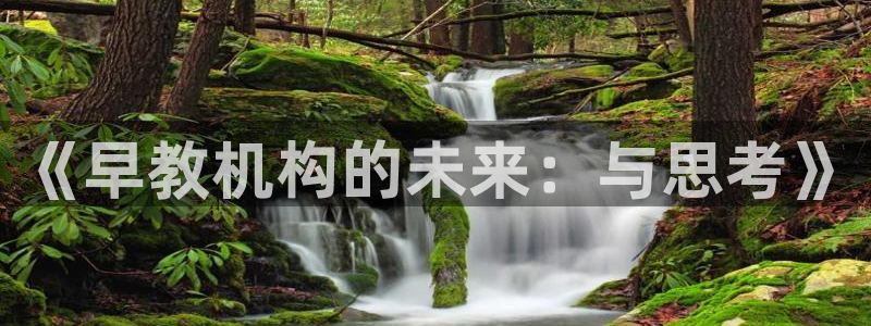 天狮娱乐q 找108306：《早教机构的未来：与思考》