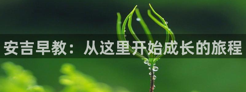 怎么注册天狮娱乐的账号：安吉早教：从这里开始成长的旅程