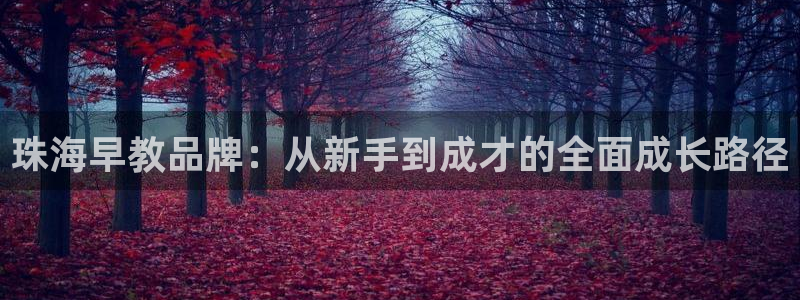 天狮娱乐内部主管：珠海早教品牌：从新手到成才的全面成长路径