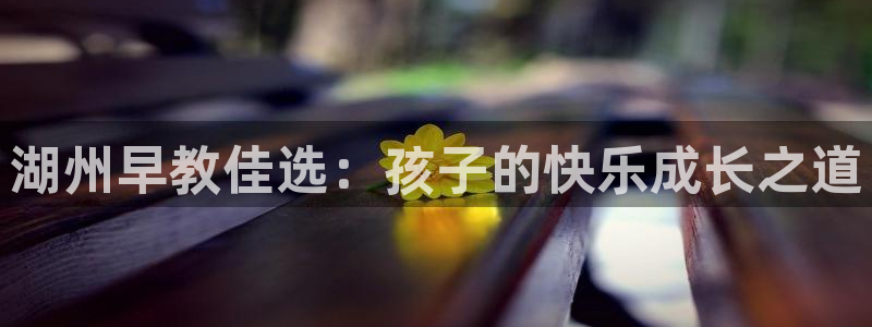 天狮娱乐29e判官333OO：湖州早教佳选：孩子的快乐成长之道