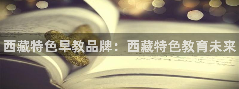 天狮娱乐客服：西藏特色早教品牌：西藏特色教育未来