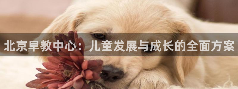天狮娱乐代理找谁：北京早教中心：儿童发展与成长的全面方案