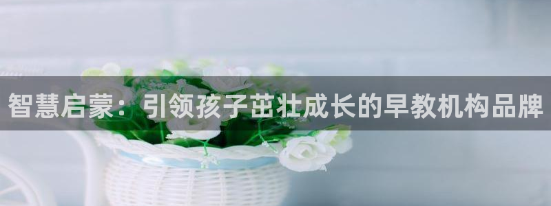 天狮娱乐指尖下：智慧启蒙：引领孩子茁壮成长的早教机构品牌