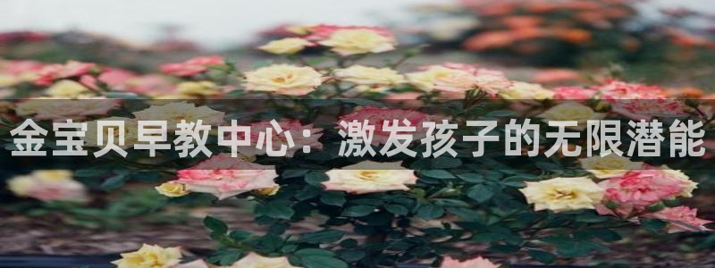 天狮娱乐 amp u招商35980：金宝贝早教中心：激发孩子的无限潜能