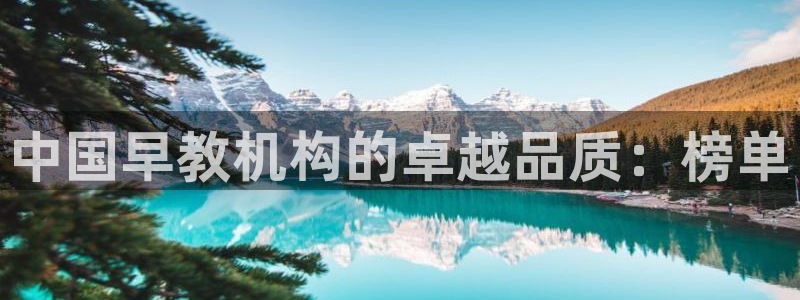 天狮娱乐叶哥：中国早教机构的卓越品质：榜单