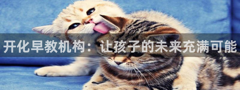 天狮娱乐 卧j招商60447：开化早教机构：让孩子的未来充满可能
