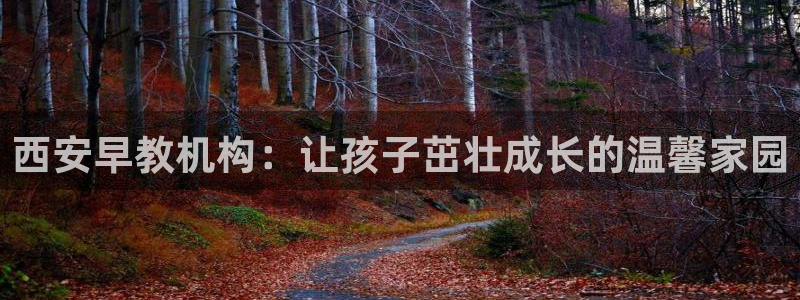天狮娱乐开户：西安早教机构：让孩子茁壮成长的温馨家园