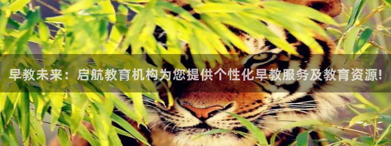 天狮娱乐30j判官333OO：早教未来：启航教育机构为您提供个性化早教服务及教育