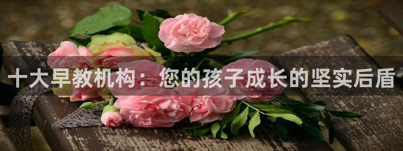 天狮娱乐是黑台子吗：十大早教机构：您的孩子成长的坚实后盾