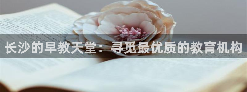 天狮娱乐平台招商：长沙的早教天堂：寻觅最优质的教育机构