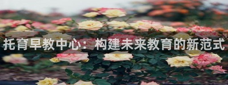 天狮娱乐 a招商60447：托育早教中心：构建未来教育的新范式