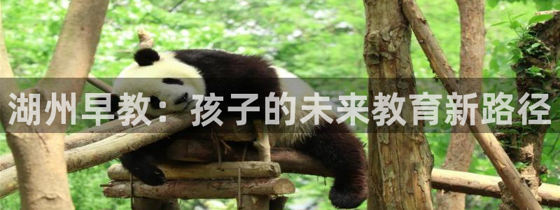 天狮娱乐官网登录：湖州早教：孩子的未来教育新路径