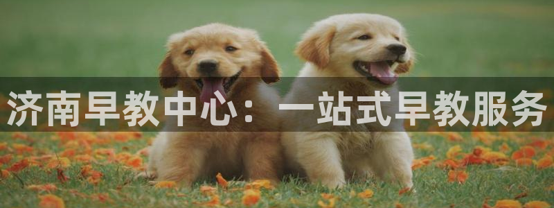 狮山天豪娱乐会所怎么样：济南早教中心：一站式早教服务