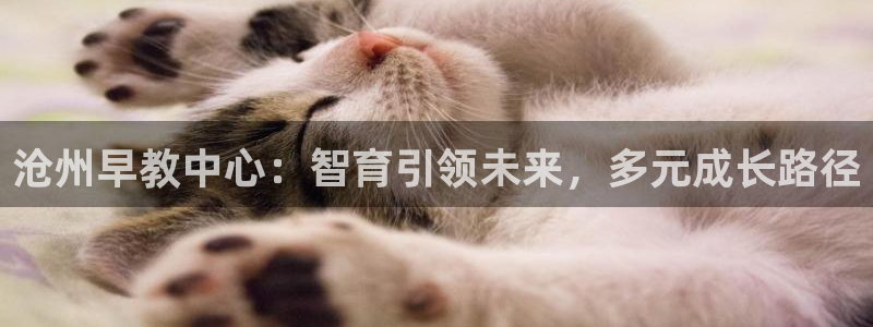 天狮娱乐是黑台子吗：沧州早教中心：智育引领未来，多元成长路径